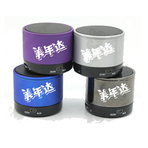 Mini Speaker